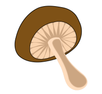Mushroom